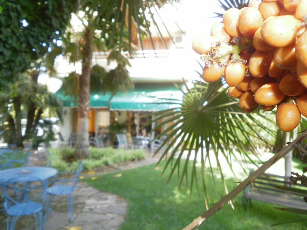 Hotel Tramontana Benicàssim Екстериор снимка
